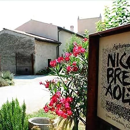 Agriturismo Nicobresaola Sommacampagna Exterior foto