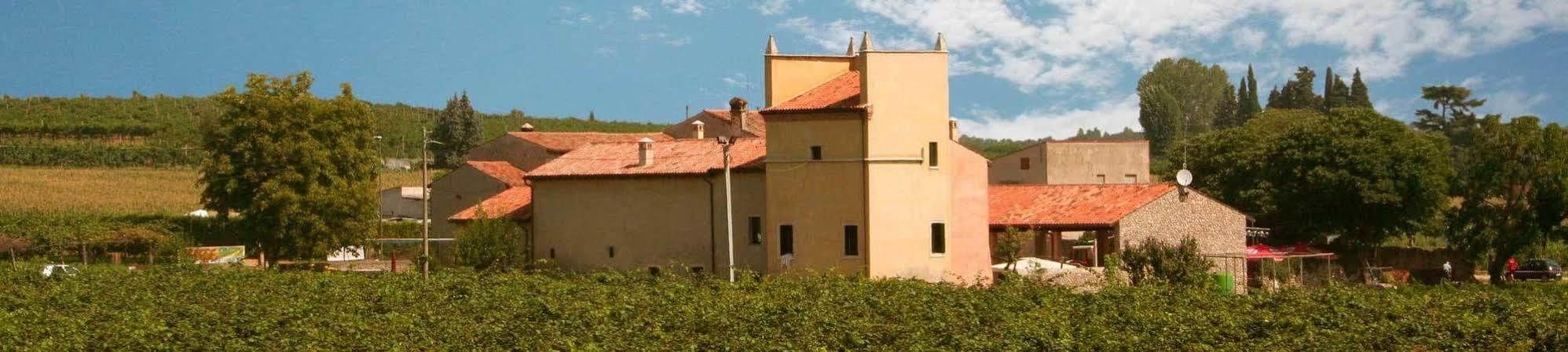 Agriturismo Nicobresaola Sommacampagna Exterior foto